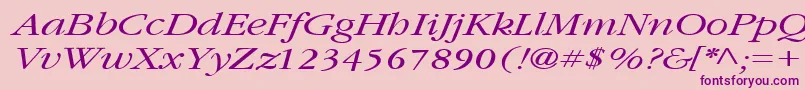 Шрифт GarnetbroadItalic – фиолетовые шрифты на розовом фоне