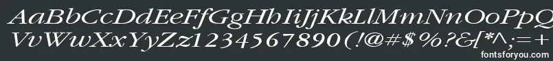 Czcionka GarnetbroadItalic – białe czcionki