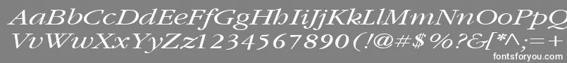 GarnetbroadItalic Font – White Fonts on Gray Background