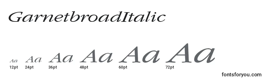 Размеры шрифта GarnetbroadItalic