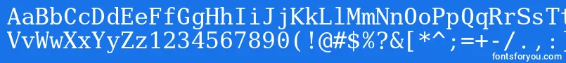 Czcionka Verilyserifmono – białe czcionki na niebieskim tle