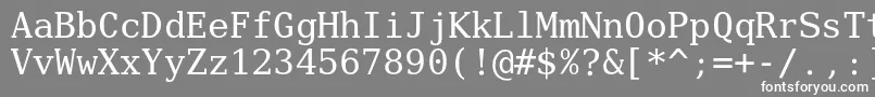 フォントVerilyserifmono – 灰色の背景に白い文字