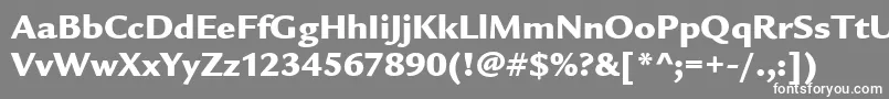 ItcLegacySansLtUltra Font – White Fonts on Gray Background
