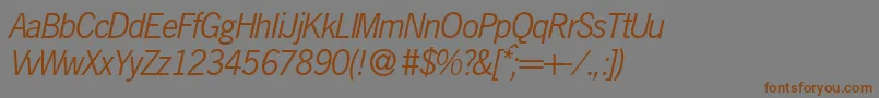 N691SansItalic Font – Brown Fonts on Gray Background