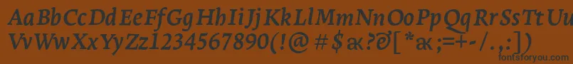 LeksaproBoldItalic Font – Black Fonts on Brown Background