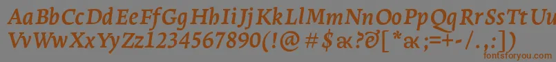 LeksaproBoldItalic Font – Brown Fonts on Gray Background