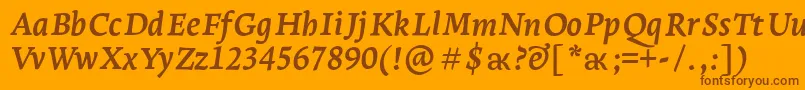 LeksaproBoldItalic Font – Brown Fonts on Orange Background