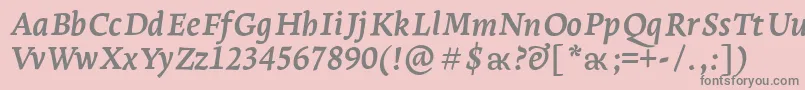 LeksaproBoldItalic Font – Gray Fonts on Pink Background