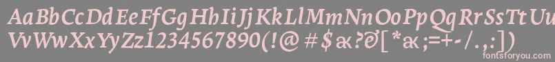 LeksaproBoldItalic Font – Pink Fonts on Gray Background