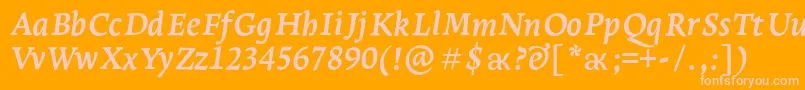 LeksaproBoldItalic Font – Pink Fonts on Orange Background