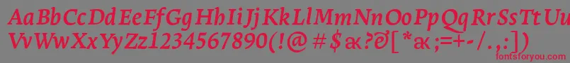 LeksaproBoldItalic Font – Red Fonts on Gray Background