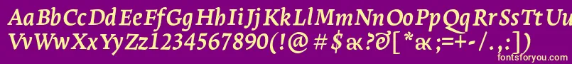 LeksaproBoldItalic Font – Yellow Fonts on Purple Background