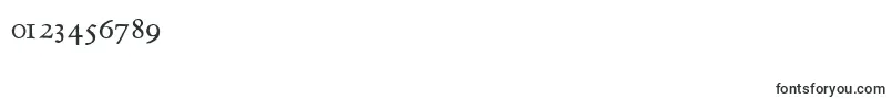 Griffosscapsfont Font – Fonts for Numbers and Digits