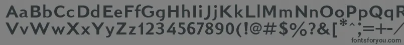 KudrashovSansserifPlain.001.001 Font – Black Fonts on Gray Background