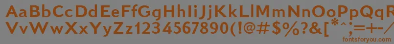 KudrashovSansserifPlain.001.001 Font – Brown Fonts on Gray Background