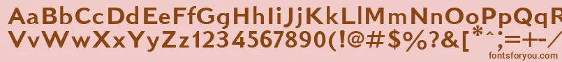 KudrashovSansserifPlain.001.001 Font – Brown Fonts on Pink Background