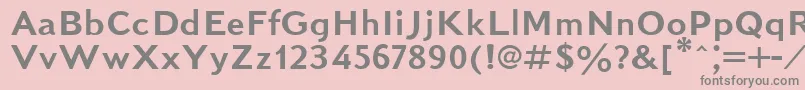 KudrashovSansserifPlain.001.001 Font – Gray Fonts on Pink Background