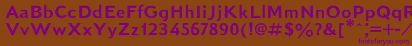 KudrashovSansserifPlain.001.001 Font – Purple Fonts on Brown Background