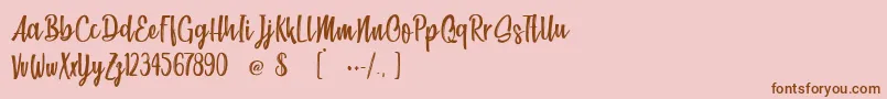 BeachSociety Font – Brown Fonts on Pink Background