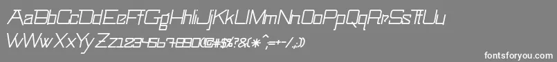 SwingarmyoriLightitalic Font – White Fonts on Gray Background