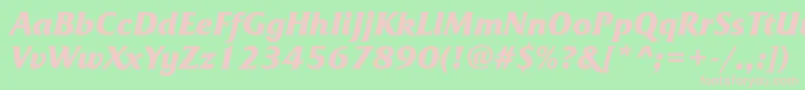 FrizquadratatttBolditalic Font – Pink Fonts on Green Background