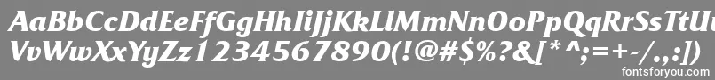 フォントFrizquadratatttBolditalic – 灰色の背景に白い文字