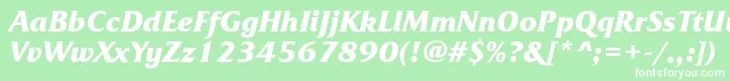 FrizquadratatttBolditalic Font – White Fonts on Green Background