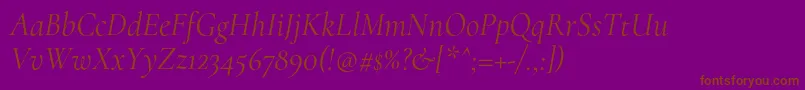 CormorantRegularitalic Font – Brown Fonts on Purple Background