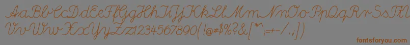 DeutscheNormalschriftA Font – Brown Fonts on Gray Background