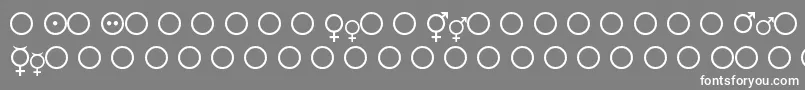 Fmsymb Font – White Fonts on Gray Background