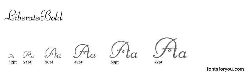LiberateBold Font Sizes
