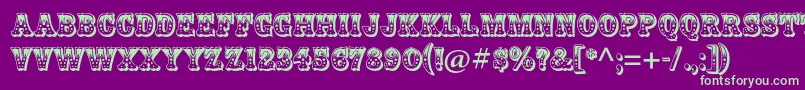 ZebrawoodstdRegular Font – Green Fonts on Purple Background