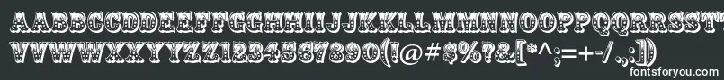 ZebrawoodstdRegular Font – White Fonts on Black Background