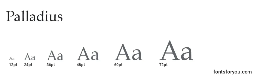 Размеры шрифта Palladius