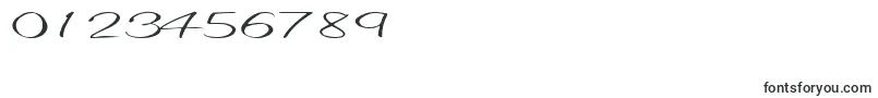 Elastictrainfont59RegularTtext Font – Fonts for Numbers and Digits