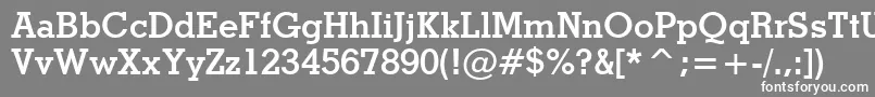 StymieBoldBt Font – White Fonts on Gray Background