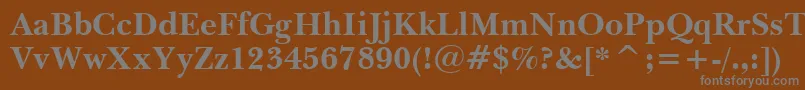 BaskervilleWin95btBold-Schriftart – Graue Schriften auf braunem Hintergrund