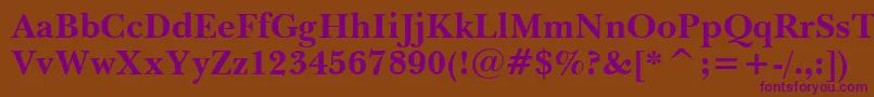 BaskervilleWin95btBold Font – Purple Fonts on Brown Background