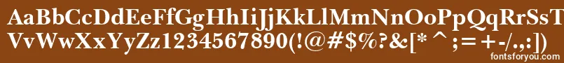 BaskervilleWin95btBold-Schriftart – Weiße Schriften auf braunem Hintergrund