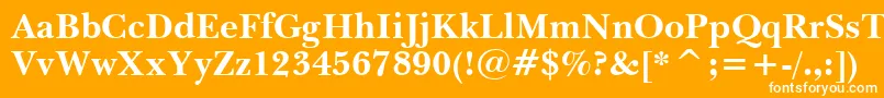 BaskervilleWin95btBold-fontti – valkoiset fontit oranssilla taustalla