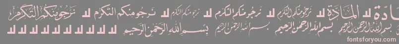 フォントMcsLetterWord5 – 灰色の背景にピンクのフォント