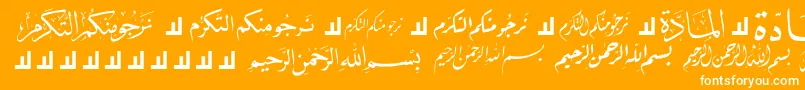 フォントMcsLetterWord5 – オレンジの背景に白い文字