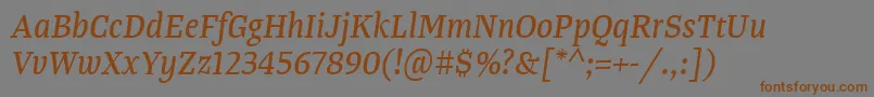 TangerserifnarrowItalic Font – Brown Fonts on Gray Background