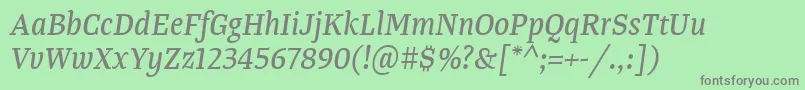 TangerserifnarrowItalic Font – Gray Fonts on Green Background