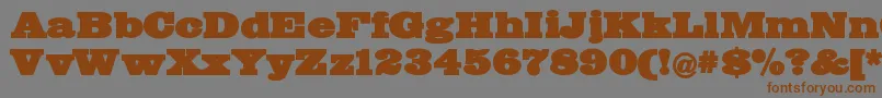 Bigmummy Font – Brown Fonts on Gray Background