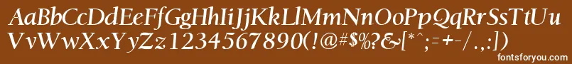 OstentiasskRegular Font – White Fonts on Brown Background