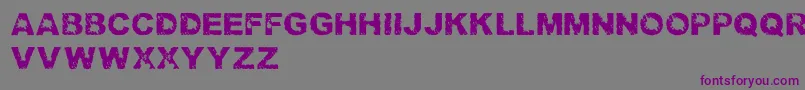 TrashedlightRegular-Schriftart – Violette Schriften auf grauem Hintergrund