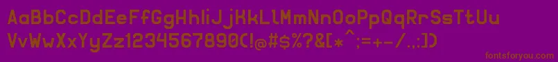 Solidsans Font – Brown Fonts on Purple Background