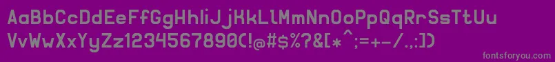 Solidsans Font – Gray Fonts on Purple Background