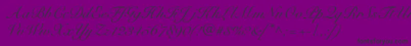 R791ScriptRegular-Schriftart – Schwarze Schriften auf violettem Hintergrund